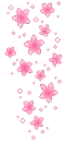pink flowers