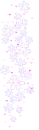 white flowers