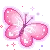 pink butterfly