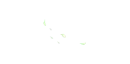 falling green petals