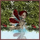 fairy reflections