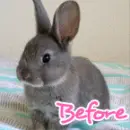 No armani