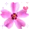 purple flower