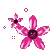 cute flowers