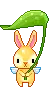 bunny