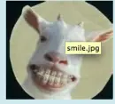 Nice teeth