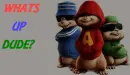 WHATS UP