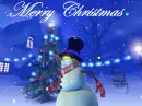 MERRY CHRISTMAS