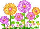 cute flowers