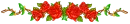 red roses