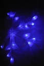 nice blue