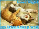 Good Night my friend..