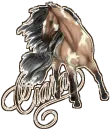 ciara wild horse