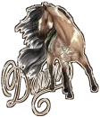 dawn wild horse