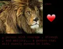 A leo