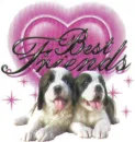 friends forever
