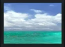 ocean view