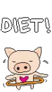 funny pig