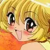 pudding