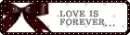 love forever