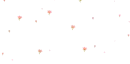 flying flowers