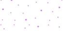 purple flowers