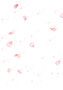 pink petals