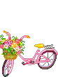 love bike