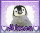 Alison