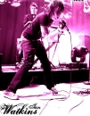 Ian Watkins 