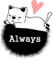 lovely kitty