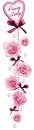 pink roses