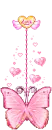 pink butterfly