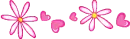 pink flowers
