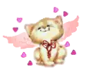 Kitty angel