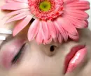 fdbvfv