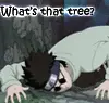 Evil Tree