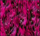 Animated pink threads