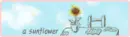 sun flower