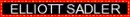 elliott sadler