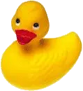 yellow rubber duckie
