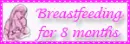 Breastfeeding for the 8 months