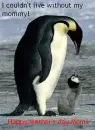 Mother's Day Penguin