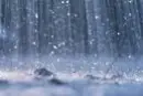 rain