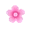 pink flower