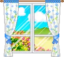 window