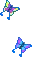 butterflies