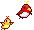 birds