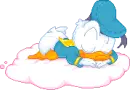 donald
