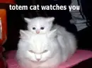 Totem Kitty!